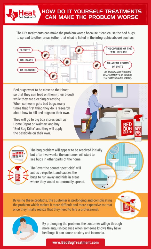 bed bug treatment advice infographic from fort worth bed bug exterminator heat pest services