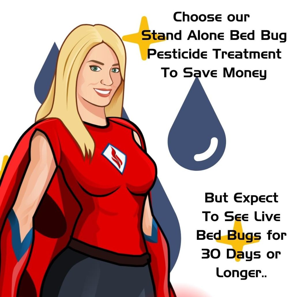 Choose our Stand Alone Bed Bug Pesticide Treatment in Fort Worth